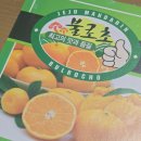 카카오톡 과일선물 제주도 불로초 감귤 후기