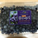 김영일 농장 이미지