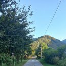 남대천로 이미지