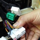 신프로카센타 이미지