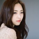 참한 결혼정보 이미지