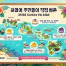 [하와이 맛집 정보] 하와이 주민들이 직접 뽑은 이웃섬별 "치즈케이크" 맛집 총정리!🍰 이미지