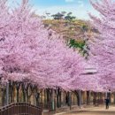 타이어뱅크 포항점 이미지