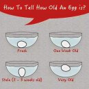 오래된 계란 확인법 이미지