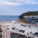 펫페이지 이미지