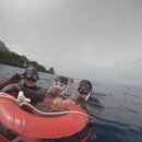 정인타이어 | 숨수지마와 함께 프리다이빙하러 떠나는 보홀 3박5일 투어 후기1일차