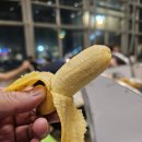 더개 | 나트랑 깜란공항 출국장 저녁 음식점 식당, 입국시 패스트트랙 비교