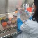 북부어린이집 이미지