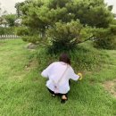 짱한분식 이미지