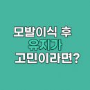 모발이식 후 유지가 고민이라면?