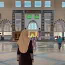 선두농장 | 코타키나발루 여행 가성비 단독 패키지여행 후기 넘 좋음..