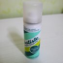 바디스트 이미지