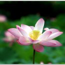 오늘하루 이미지