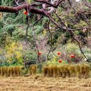 거면경로당 이미지