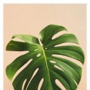 아우라스튜디오 이미지