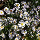 풍경농장 이미지