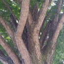 소랭이마을 이미지