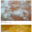 스마트폰 카메라 200 활용 Daum카페