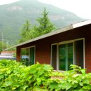 설레이다 이미지