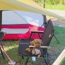 엠에스알 이미지