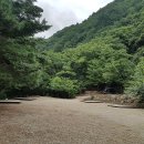 내린천솔밭힐링캠핑장 이미지