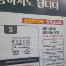 코끼리셀프 이미지