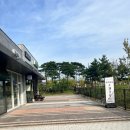 댕댕보스 이미지