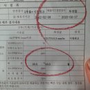 신세계부란자