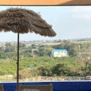 제주보홀 이미지