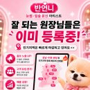 영구언니