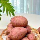 복안농장 이미지