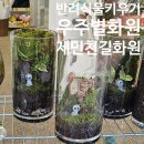 우주별화원 | 아이와 함께 공주여행, 제민천길 우주별화원 내돈내산 찐후기