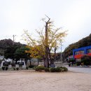 장기초교 이미지