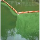 칠서정수장 | “녹조, 박멸·제거 대신 과학기술로 다스려야” .... 하수처리장에 많은 투자가 이뤄지고 있으나...