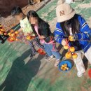 동향초등학교 이미지