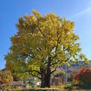 헤브론153 카페 이미지