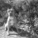 룰루랄라 이미지