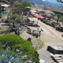 커피와소나무 이미지