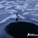 엑스게임리조트