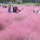 낙동강관리본부 대저생태공원 2 이미지