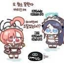 아리스 이미지