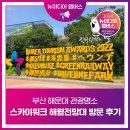 [뉴미디어 멤버스] 부산 해운대 관광명소 스카이워크 해월전망대 방문 후기