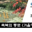 축복의통로 이미지