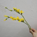 한지로 만드는 세상 이미지