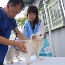 메디 포즈 동물병원 이미지