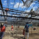 자원봉사의 온기로 산불 피해 마을에 다시, 봄을 심는다 이미지