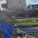 대흥목욕탕 이미지