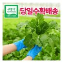 쌈 쇼핑하우