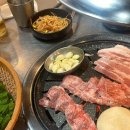 동림5돌