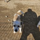 죽빵훈련소 이미지